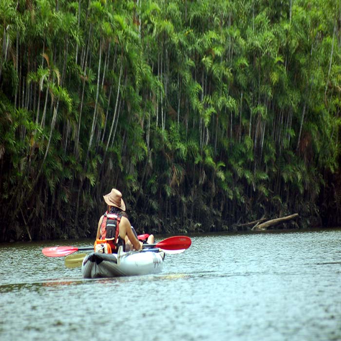 Kayaking in the Amazon rainforest Ecuador