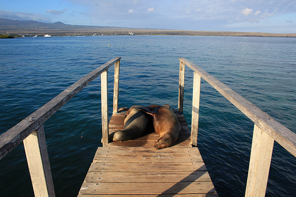 Places for days tours from Santa Cruz island