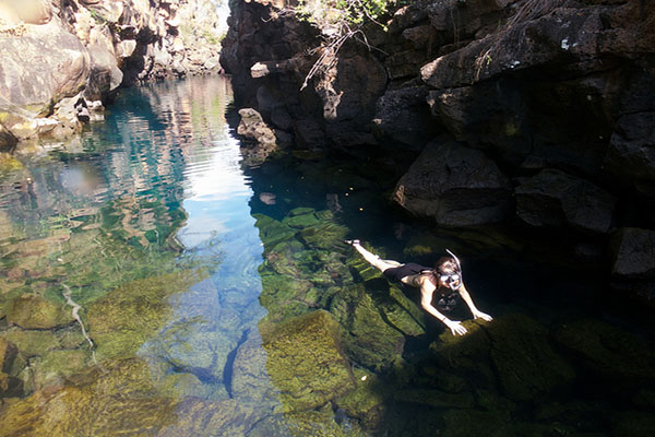 Day tours from Santa Cruz island