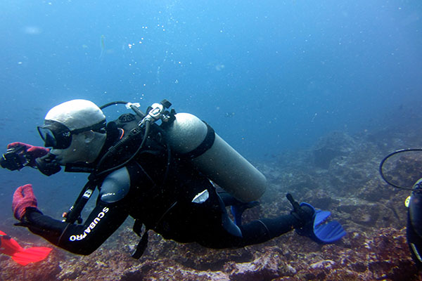 Diving in the Galapagos Islands