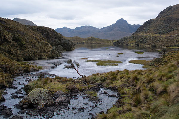 Things to do in El Cajas Ecuador