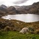 Travel Guide el Cajas National Park