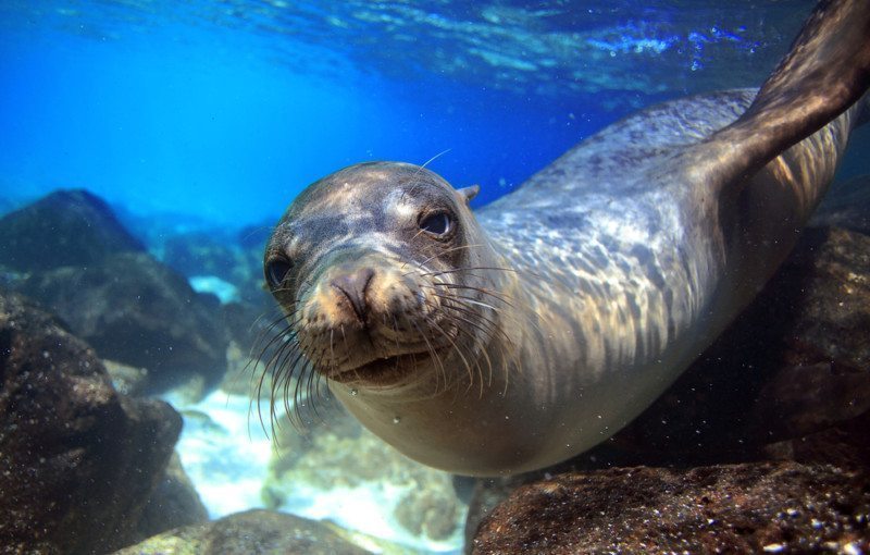 Galapagos National Park Rules