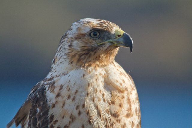 April in the Galapagos islands