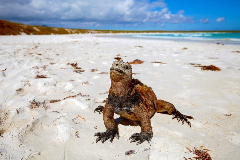 Galapagos National Park Rules