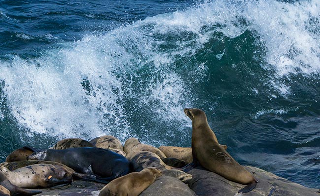 Galapagos Island Tour