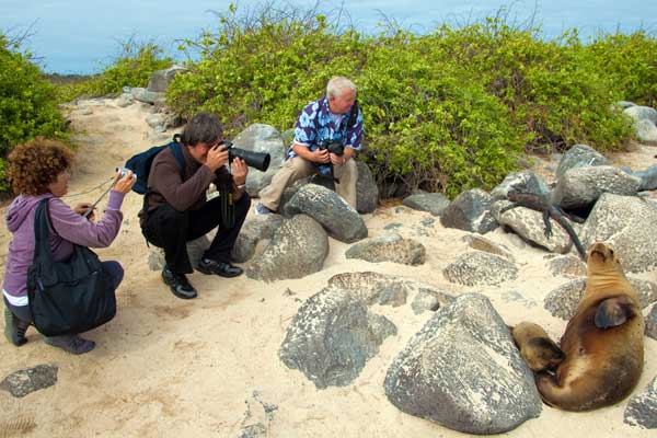 Galapagos and Ecuador custom tours