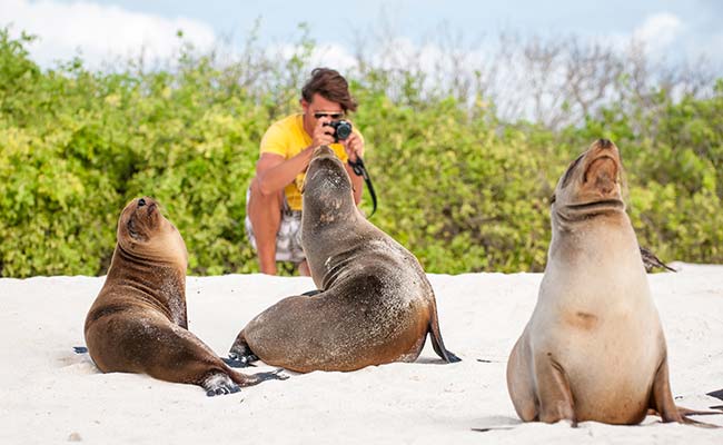 Galapagos Summer 2022