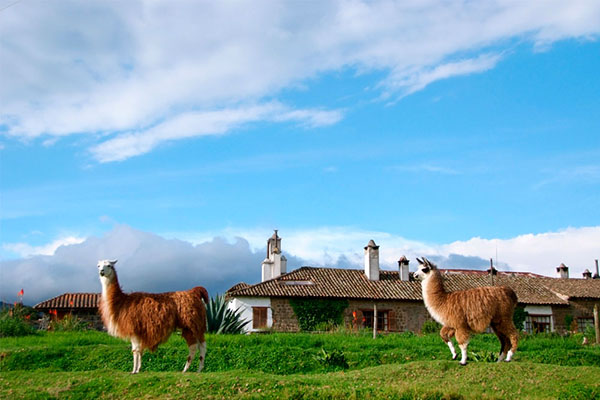 Luxury haciendas tours to Ecuador