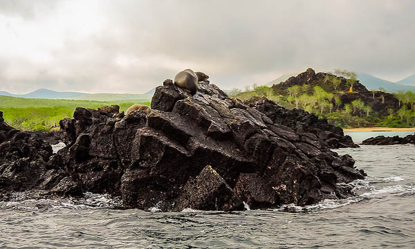 Things to do in Devils Crown Galapagos