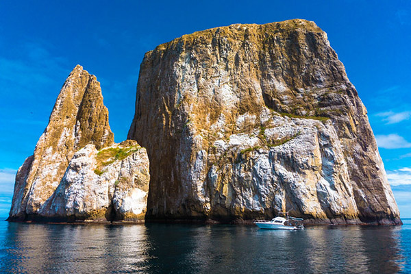 Activities in Kicker Rock Galapagos