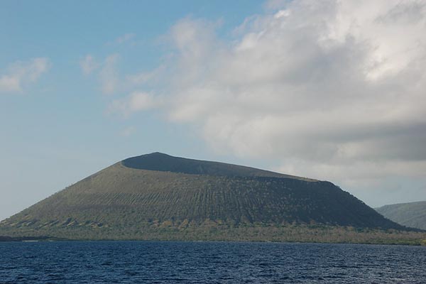 Isabela island galapagos volcanoes