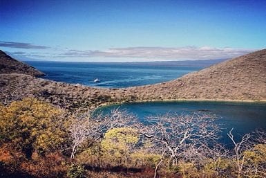 Galapagos in January