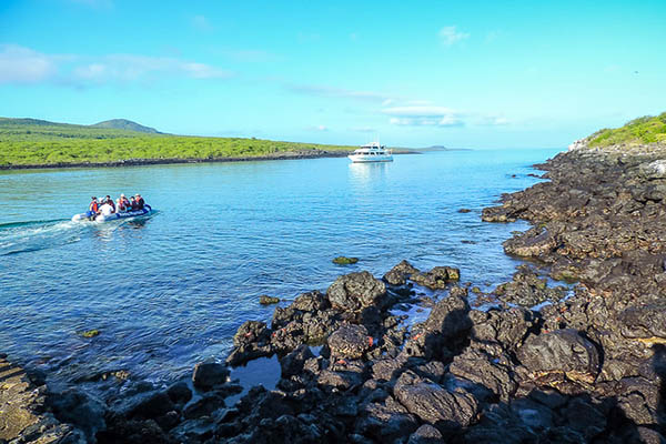 Activities in Lobos Island Galapagos