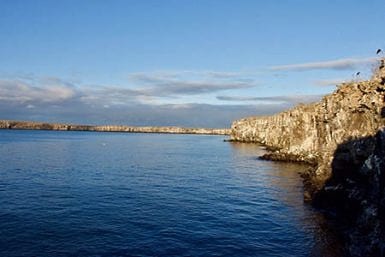 Galapagos Islands Marchena