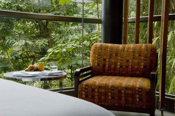 Cloudforest Luxury Lodge Tours