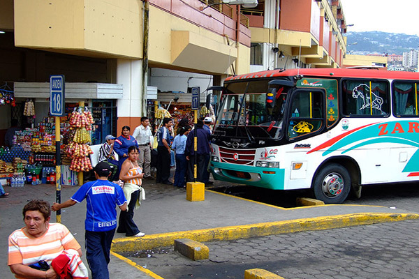 Public buses Ecuador