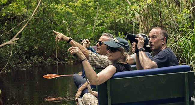 Birdwatching Amazon Rainforest