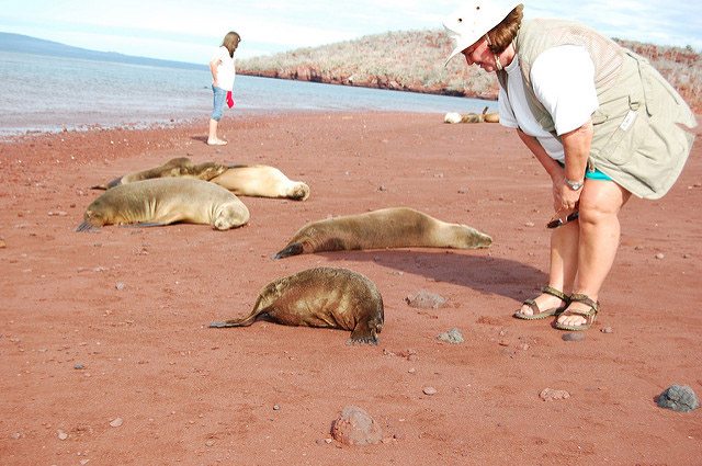 Things to know for a trip to Galapagos