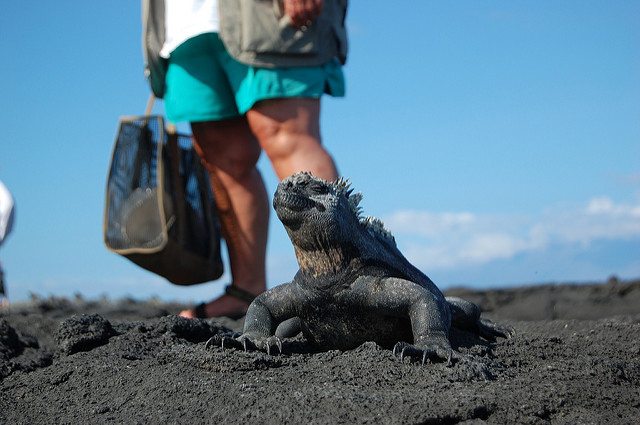 Solo travelers Galapagos Islands