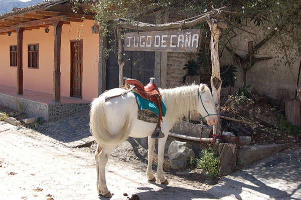 Vilcabamba Surroundings