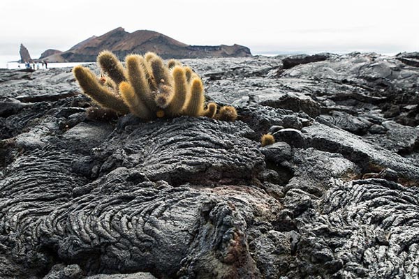 Galapagos islands Volcanoes