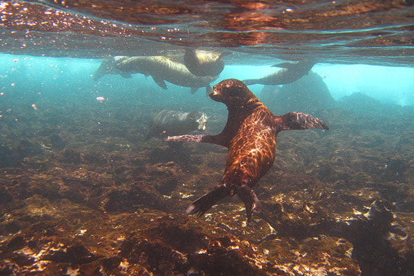 February weather in Galapagos