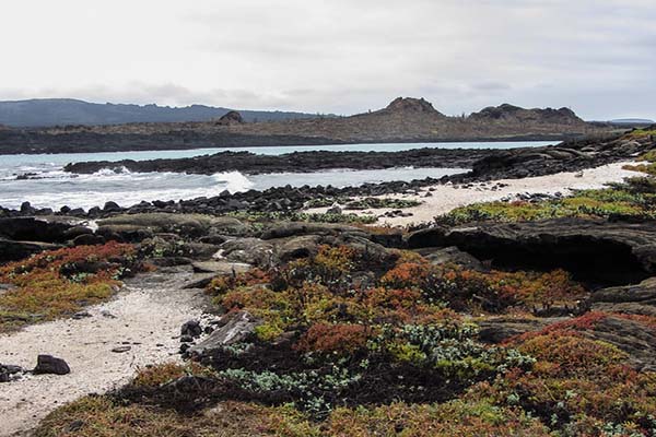 Highlights of Chinese Hat Galapagos