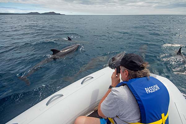 Travel Galapagos after covid-19