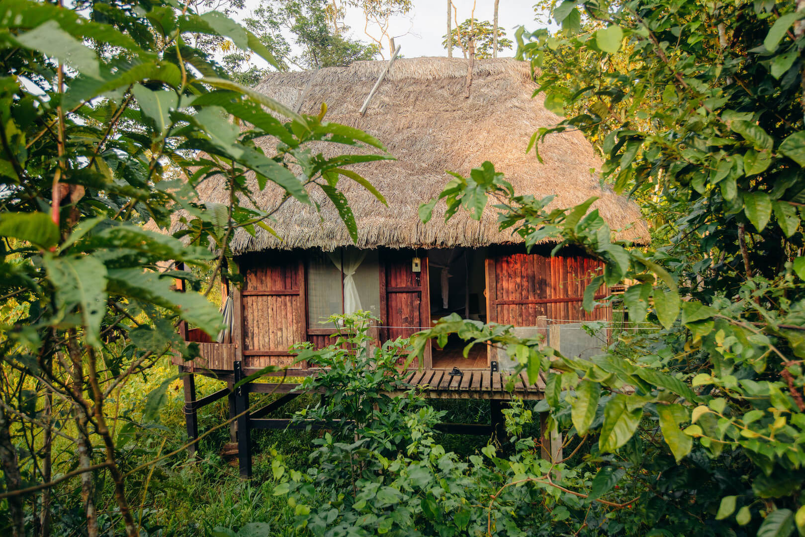 A wooden stilted cabin with a thatched roof partially hidden by dense green foliage in a forest setting.