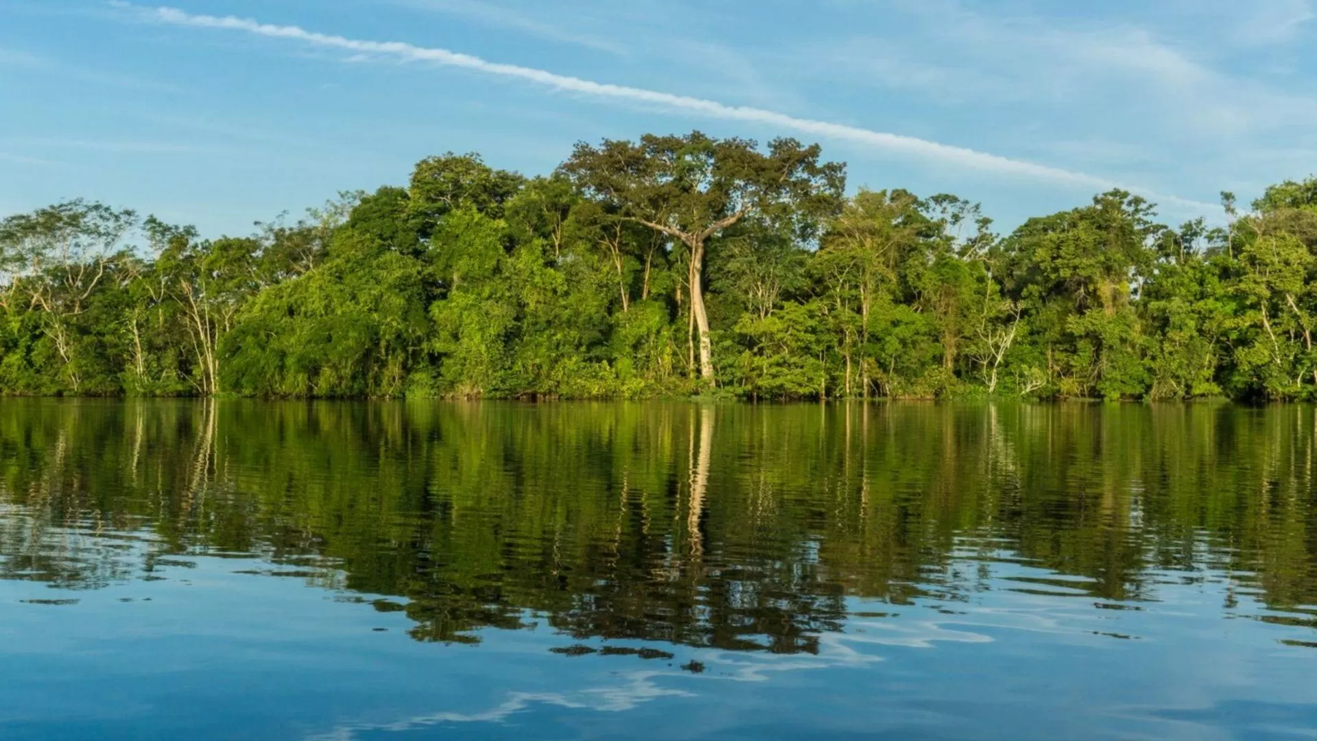 Calm river scene reflecting dense green forest under a blue sky with a faint jet contrail; green and blue tones, peaceful.
